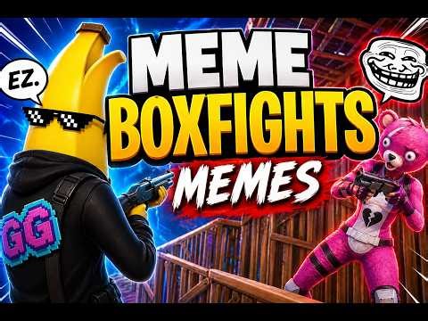 MEME Boxfights Got Out of Control...