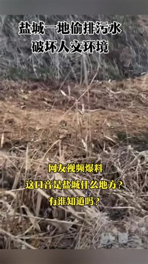 #环境 保护环境，人人有责！