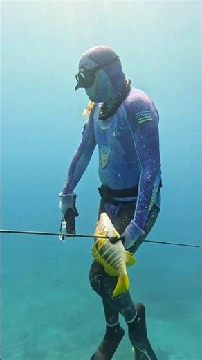 Underwater Archery Bow for Spearfishing #spearfishing