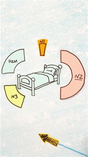 What Is A Healthy Sleep Cycle?