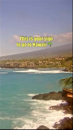 This Is Your Sign to Go to Hawaii 🌴 Join LIVE now