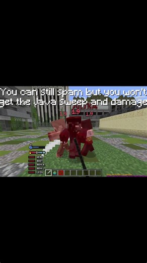 MCPE/MCBE Lord Raiyon's Java Combat