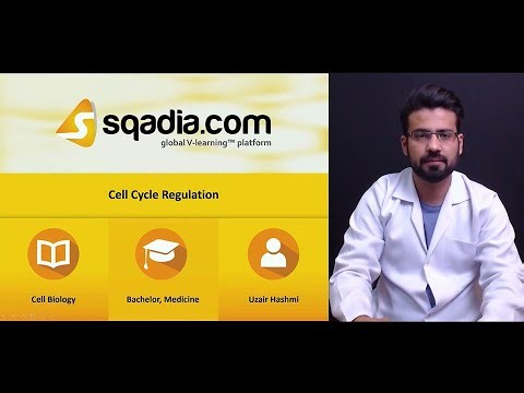 Cell Cycle Regulation | Introduction