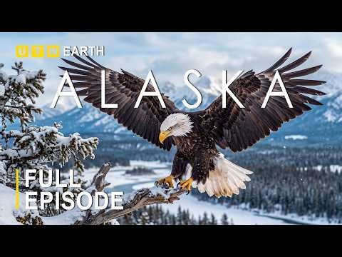 ALASKA WHERE THE WILD RETURNS |What Follows the Rivers Into the Great North? | FULL DOCUMETARY