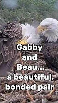 Gabby and Beau: Getting Ready!