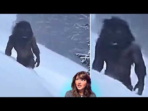 Don't Watch ALONE Scariest CRYPTIDS & More Caught On Camera 2026