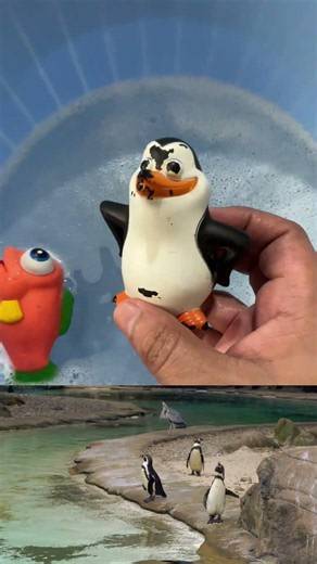 LEARN SEA ANIMAL NAMES AND INTERESTING WITH COOL TOYS| EDUCATIONAL VIDEOS FOR KIDS