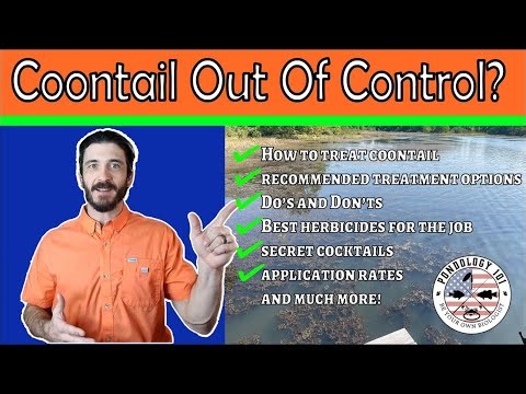 The "Killer Cocktail" for Coontail Control: Take Your Pond Back FAST