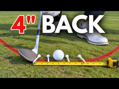 EVERYTHING You Ever Wanted to Know about Chipping in One Video!
