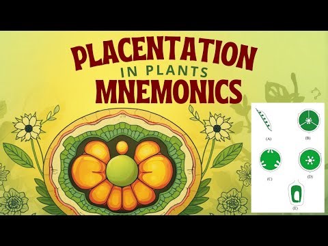 Placentation in plants mnemonics class 11 | Types of Placentation | NEET 2026 | EASY TO LEARN