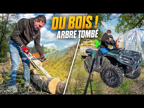 DU BOIS DU BOIS PENDANT L'HIVER !