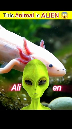Is This Animal ALIEN? 😱 | #shorts
