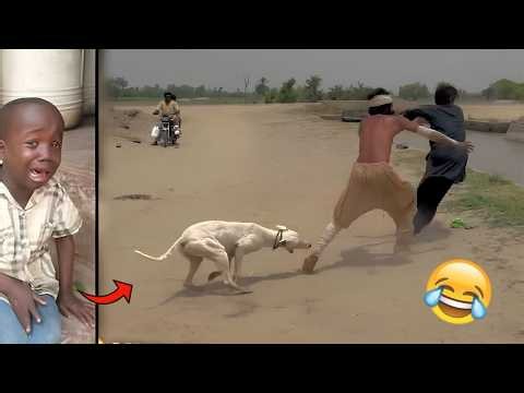 Crazy Funniest Videos Ever In The World! (try not to laugh 85)