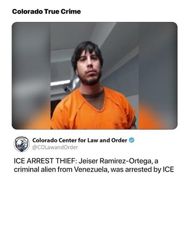 ICE ARREST THIEF | JEISER ORTEGA