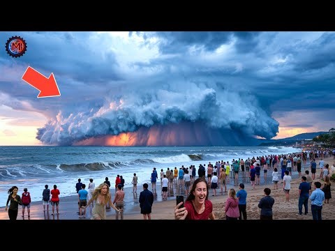Most Unbelievable Nature Moments Ever Caught on Camera #86