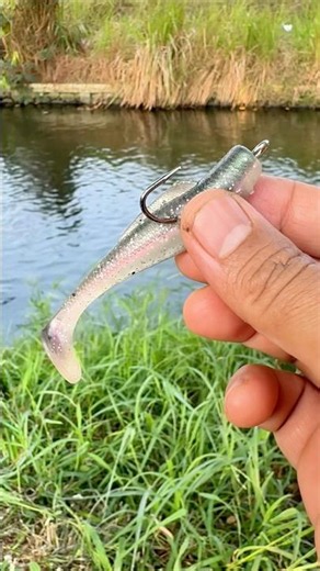 Recommended Fishing Lures for Every Angler👍👍 #fishing #bassfishing #fishingknots #angler