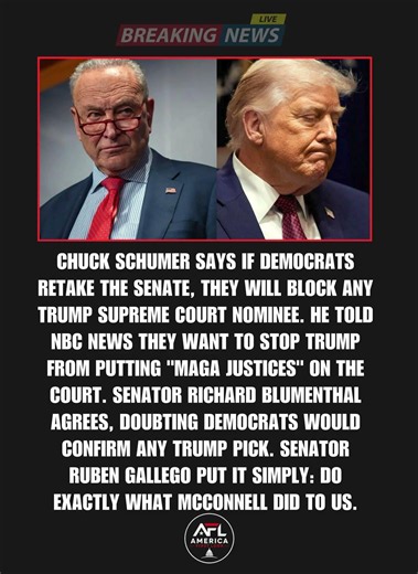 Schumer Vows to Block Any Trump Supreme Court Nominee if Democrats Retake the Senate