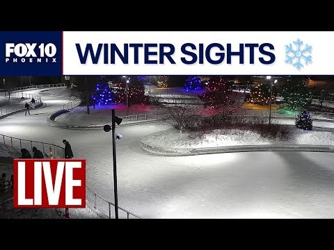 🔴LIVE WEBCAMS around the world | January 3 | FOX 10 Phoenix