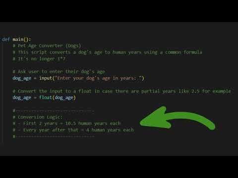 2025 Python Programming Comment Tutorial