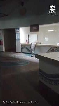 Crocodile caught on camera climbing into hotel kitchen in Zimbabwe