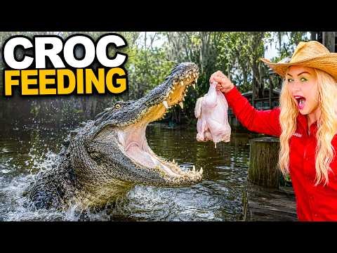 Giant Crocodile Feeding Frenzy!