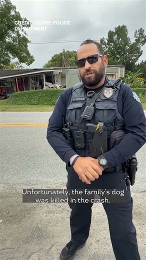 Drunk driver crashes into Florida home, killing family dog: police