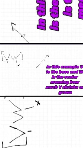 Linear Algebra Vector Multiplication |#mathematics #stem #computerscience #programming #education