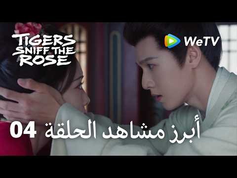 النمور تشم الوردة Tigers Sniff the Rose｜04-2 أبرز مشاهد الحلقة ｜لي يون روي，مينغ زي يي