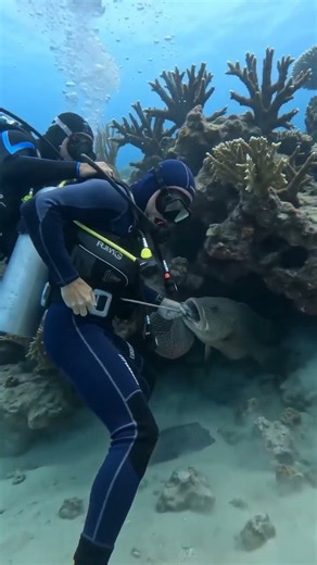 When a Giant Fish Demands Its Snack! 🐟😱