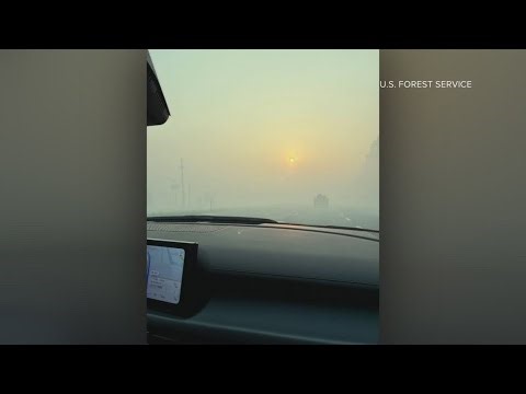 Florida and Georgia wildfires | What to know about wildfire smoke and your health