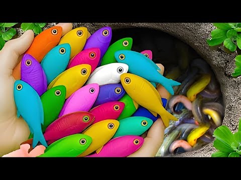 I Caught a GLOWING Alien Fish?! 😱 (Finding Secret Surprise Eggs!) ✨🔥