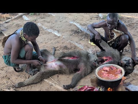 Incredible Baboon hunting day | African hunters | life in the wilderness 