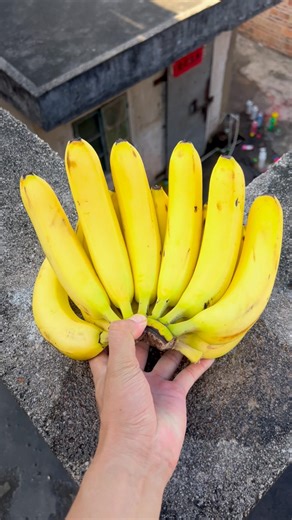 Experiment: Will watermelons and bananas explode if rolled down a tall building? 🍉💥#shorts