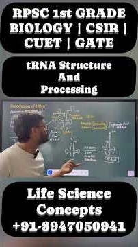 tRNA Structure & Processing | Cloverleaf Model, Maturation and Modifications | CSIR | CUET | RPSC