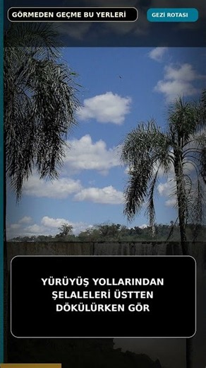 Iguazu Şelaleleri: Ormanın Ortasındaki Dev Su Duvarı Rotası #Shorts