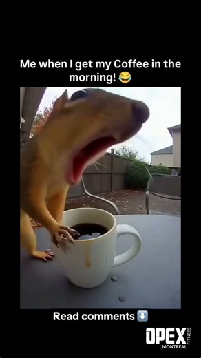 When your lips touch that first coffee of the morning… ☕️