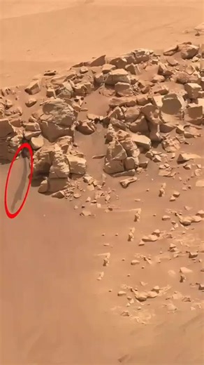 NASA has released a new video that they believe shows evidence of water on Mars, potentially marking the beginning of life on the planet. For those with keen observation skills, what caught your eye? ‏وكالة ناسا تنشر مقطع جديد تعتقد بأنه آثار لوجود الماء في موكب المريخ، ربما سيكون بداية الحياة في المريخ. لشديدي التركيز ما الذي لفت نظرك ؟ #nasa #outerspace ‼️#LIVEIncentiveProgram #NewYearLIVE #PaidPartnership