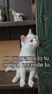 variables de entorno en 60 segundos | Aprende programación