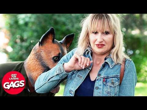 Best Of Furry Prank 🐶 | Just For Laughs Gags