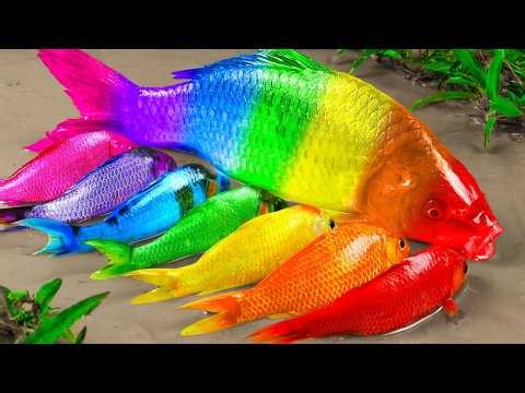 Best Of Small Fish Recipe | MINIATURE Fish Cooking Made EASY with Simple Recipe