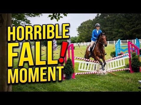 Rider falls after horse hits obstacle during jump in Easton, Maryland, USA