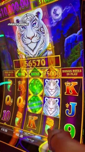 Can $2,500 unlock both Jewel of the Dragon bonuses? Vegas high-stakes!