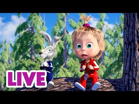 🔴 EN VIVO TV 📺 Masha y el Oso Castellano 🌳 Pasos seguros al aire libre ✅ Masha and the Bear