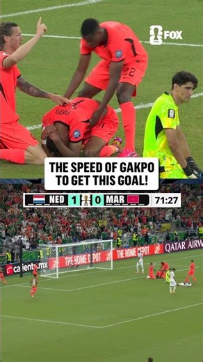 What a goal from Cody Gakpo and The Netherlands 🇳🇱 The Dutch take the lead in Monterrey!