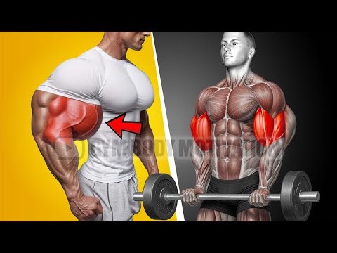5 Bicep Exercises That ACTUALLY Work (No BS Guide)