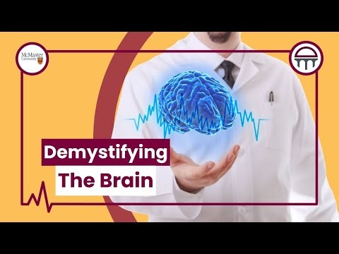 Demystifying the Brain: Unlocking the Science of Social Behavior