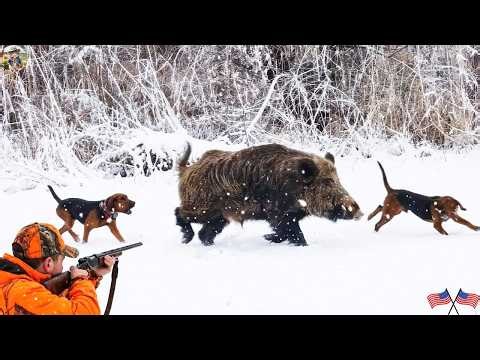 California Wild Boars - 19 Incredible Shots in 19 Minutes - The Best Wild Boar Hunting Footage