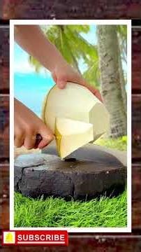 Watch This Coconut Fall from the Palm Tree