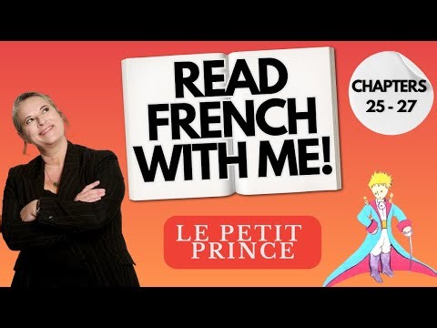 Le Petit Prince audiobook in French (Chapters 25-27)