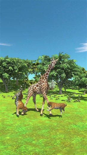 Giraffe Catches Two Tigers Off Guard